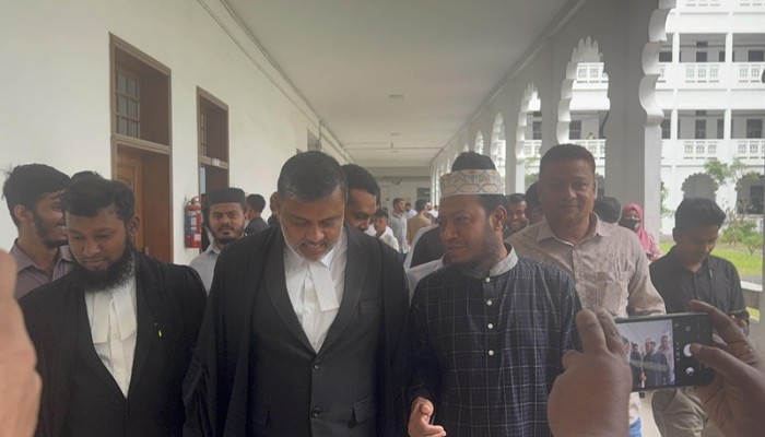 ​আগাম জামিন পেলেন আমির হামজা