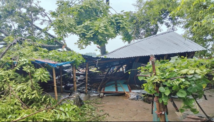 ​জামালপুরে কালবৈশাখীর ঝড়ে একই পরিবারের ৩ জন নিহত