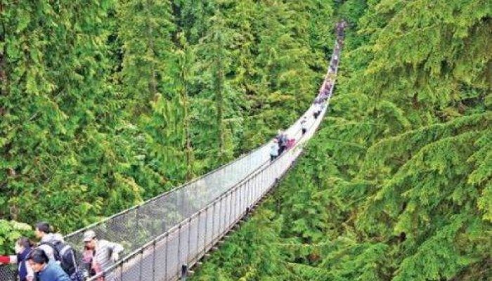 সুন্দর কিন্তু ভয়ঙ্কর সেতু !