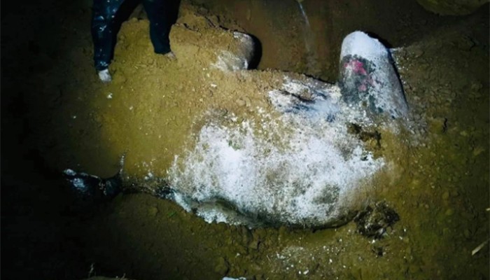 এবার মাটি খুঁড়ে আবারো হাতির মাংস চুরির চেষ্টা