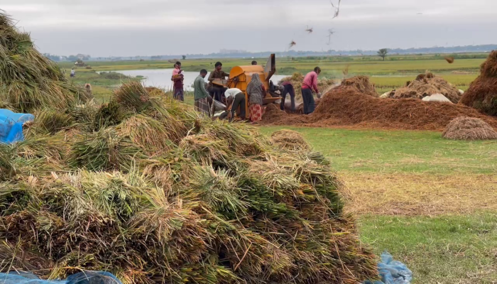 হাওড়াঞ্চলের ৬ জেলায় ধান-চাল সংগ্রহ শুরু আজ