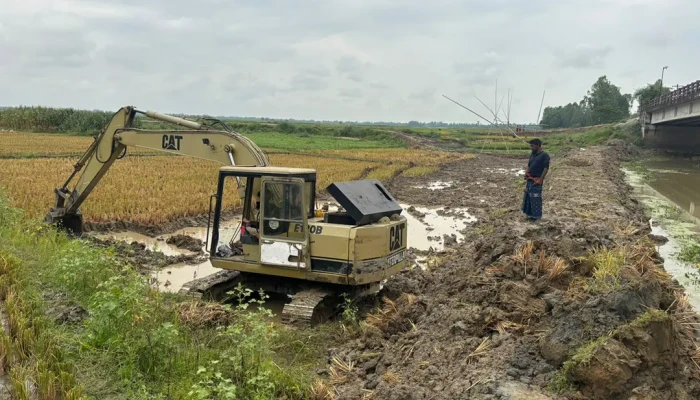 তলিয়ে যাওয়ার শঙ্কায় উত্তরাঞ্চলের ২৬ হাজার হেক্টর জমির ধান