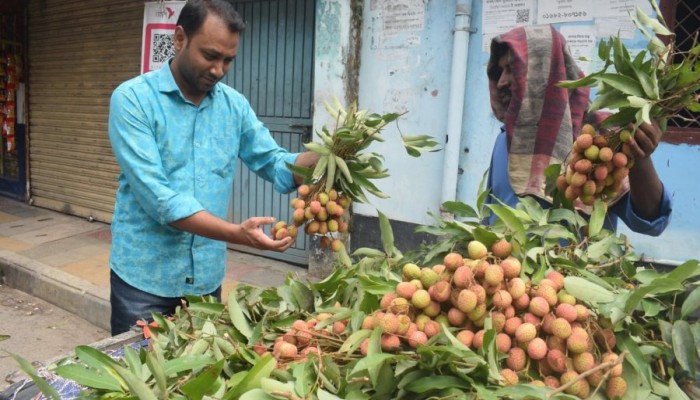 অপরিপক্ব লিচুতে সয়লাব রাজশাহীর বাজার
