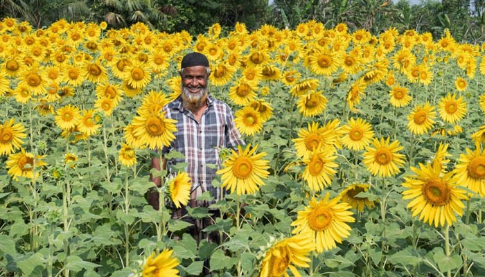 কলাপাড়ায় নয় টন ভোজ্যতেল পাওয়ার সম্ভাবনা