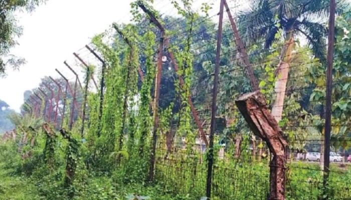 সীমান্তে বিএসএফের গুলিতে দুই বাংলাদেশি নিহত