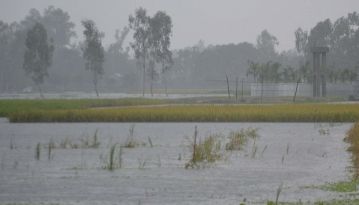 কুড়িগ্রামে রেকর্ড বৃষ্টিপাত, বিপাকে কৃষক