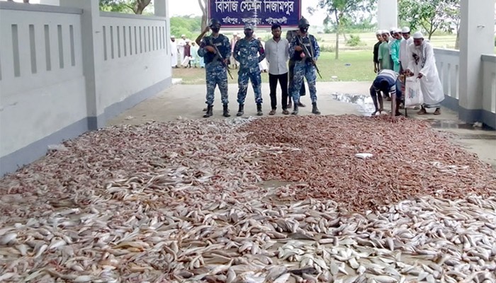 ​বিলিয়ে দেয়া হলো ৩৯ লাখ টাকার সামুদ্রিক মাছ
