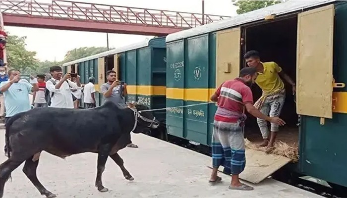 ​‘ক্যাটল স্পেশাল ট্রেন’ চলবে শুক্রবার থেকে