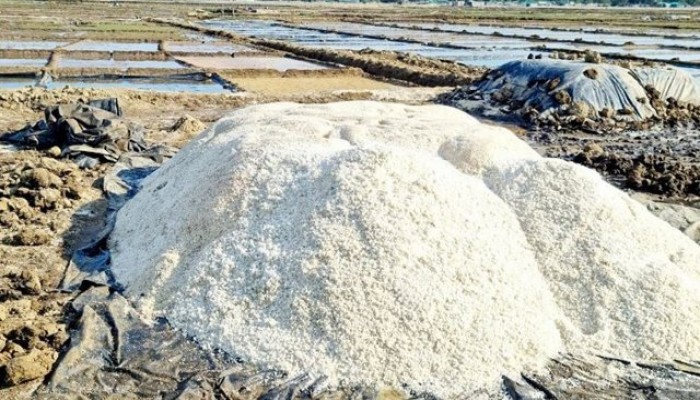 লবনের মাঠে কোরবানির ছোয়া: বস্তাপ্রতি দাম বাড়লো ৩৭০ টাকা