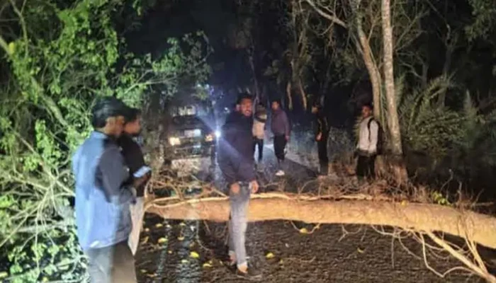 সন্ধ্যা নামলেই আতঙ্ক: নওগাঁর সড়কে বেড়েছে ডাকাতের দৌরাত্ম্য