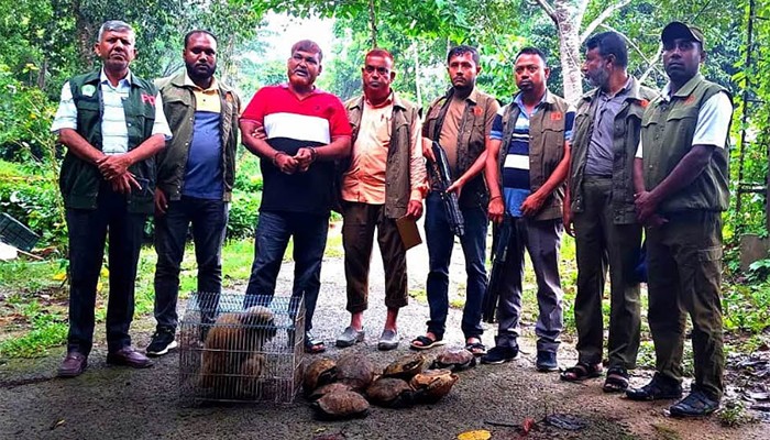 ‘পাচারের জন্য রাখা’ একাধিক বন্যপ্রাণী উদ্ধার, একজন গ্রেপ্তার