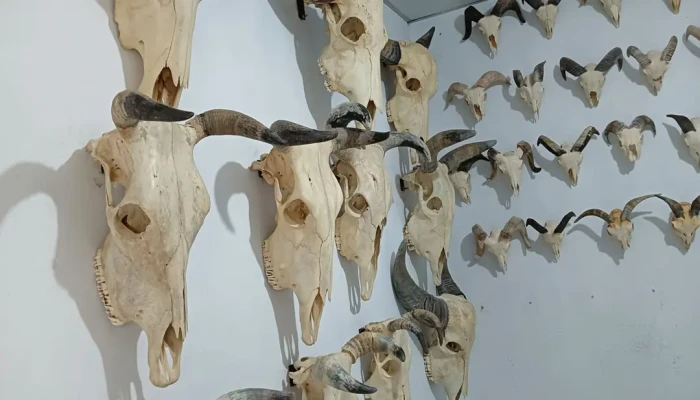 কসাই যখন শিল্পী!