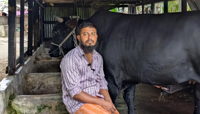 খালেদা জিয়াকে ‘কালো মানিক’ উপহার দেওয়া সোহাগ মৃধা গ্রেপ্তার