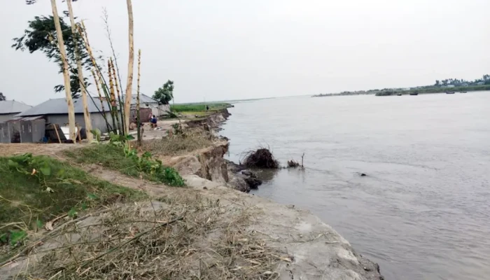 ব্রহ্মপুত্র নদের ভাঙনে ৫০ ঘরবাড়ি বিলীন, হুমকির মুখে শতাধিক পরিবার