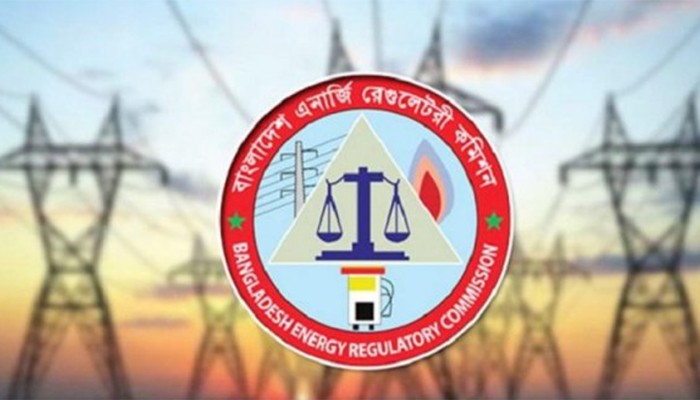 “২০৩০ সালের মধ্যে নবায়নযোগ্য জ্বালানি ৭ হাজার মেগাওয়াট অর্জন সম্ভব”