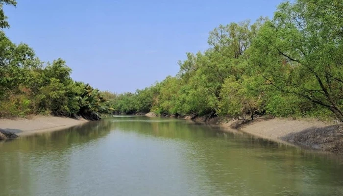 সুন্দরবনের ১৫০ শিকারির তালিকা গোয়েন্দা সংস্থার হাতে