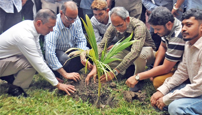 ​জুবাইদা রহমানের জন্মদিন উপলক্ষে ঢামেক প্রাঙ্গণে বৃক্ষরোপণ