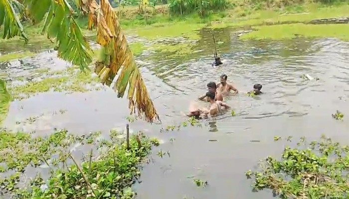 শাপলা তুলতে গিয়ে দুই ননদসহ ভাবির মৃত্যু