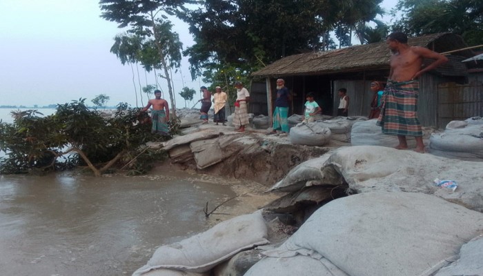 কুড়িগ্রামে তিস্তার ভাঙ্গনে ৩০বাড়ি বিলীন