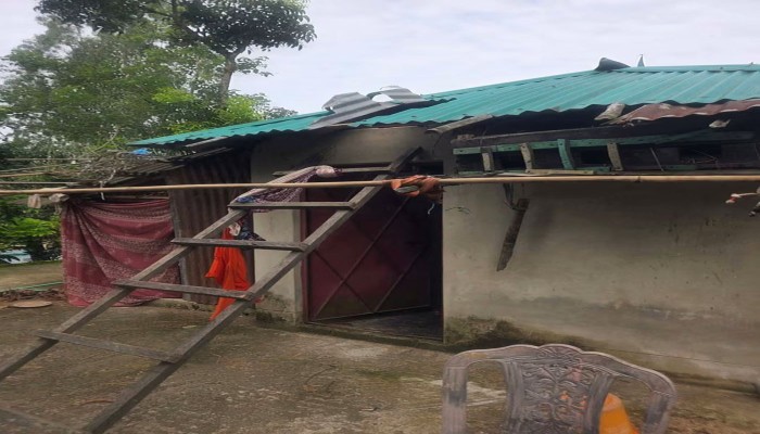 চাল কেটে ঘরে ঢুকে প্রবাসীর স্ত্রীর হাত-পা বেঁধে হত্যার অভিযোগ