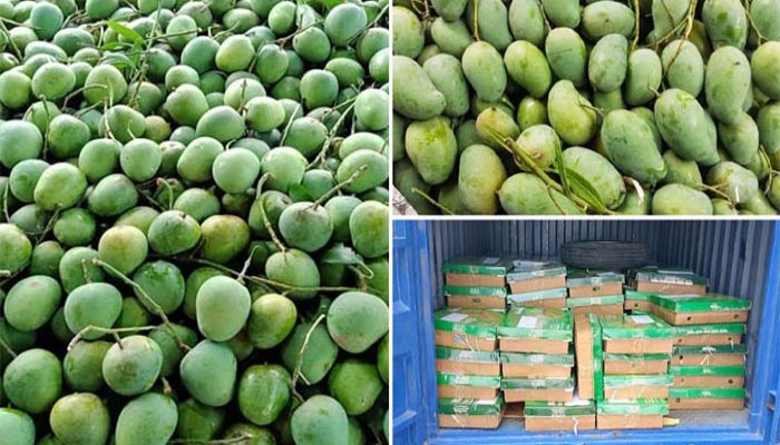 ভারতকে আম উপহার দিলো বাংলাদেশ