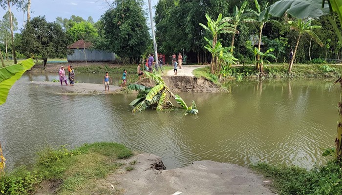 ​ধরলার তীব্র স্রোতে ফুলবাড়ীতে কালভার্ট ধস, বিলীন ৫০ ফুট সড়ক