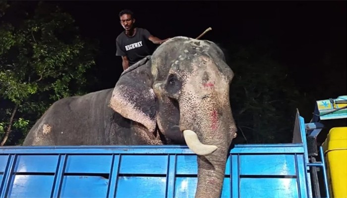 ​প্রধানমন্ত্রীর নির্দেশে চিড়িয়াখানায় গেল ‘বাদশা বাহাদুর’