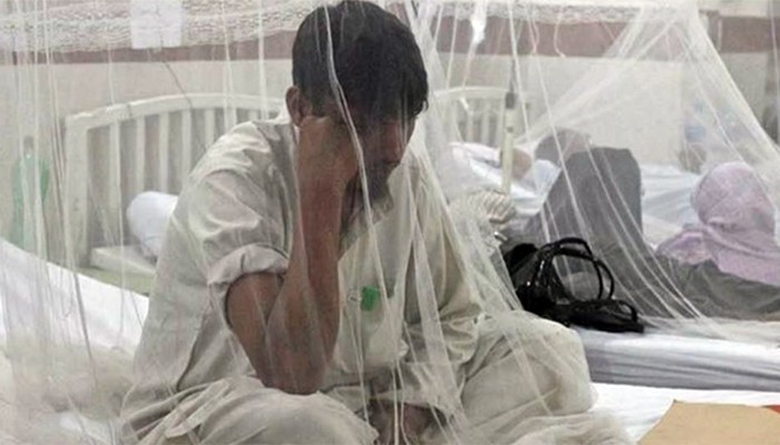 ​ডেঙ্গুতে আক্রান্ত হয়ে হাসপাতালে আরও ২৭১ জন