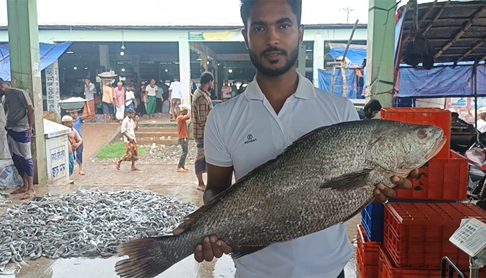 কুয়াকাটায় ধরা পড়ল ‘সাগরের কালো সোনা’