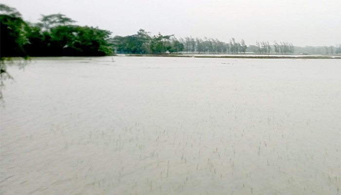 উপকূলজুড়ে টানা বৃষ্টিতে জনজীবনে চরম ভোগান্তি