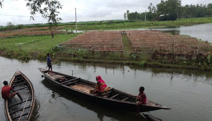 কুড়িগ্রামে ভারী বৃষ্টি ও বন্যায় ৩১৪ কোটি টাকার ফসলের ক্ষতি