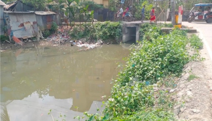 কলাপাড়ায় বন্ধ শতাধিক খালের পানির প্রবাহ