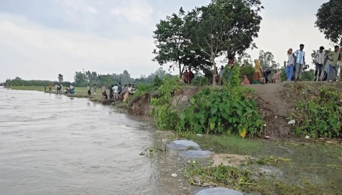 যমুনা নদীর পানি বৃদ্ধি, ভাঙছে বসতভিটা ও ফসলি জমি
