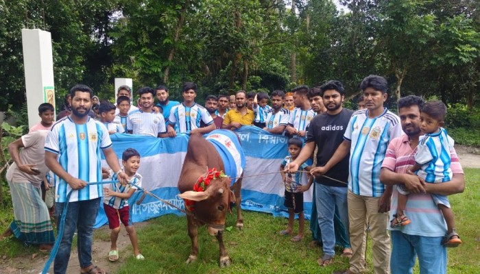 ফাইনালে আর্জেন্টিনা, গরু জবাই করে ভূরিভোজের আয়োজন