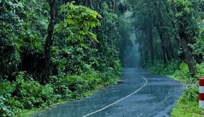 বর্ষায় ঘুরে আসুন বৃষ্টিভেজা গারো পাহাড়ে