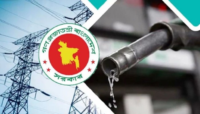 জ্বালানি সংকট নিয়ে কী ভাবছে সরকার?