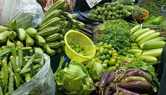 কাঁচা বাজারে অস্থিরতা: সেঞ্চুরি হাঁকিয়েছে সবজি, মরিচের কেজি ২৮০