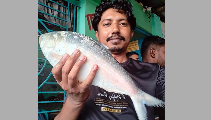 জেলের জালে ধরা পড়ল দুই কেজির এক ইলিশ