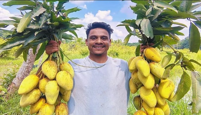 ব্যতিক্রমী আমে মিনারুলের চমক