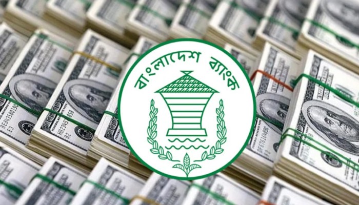​২৫ দিনে রেমিট্যান্স এলো ২৮ হাজার কোটি টাকা