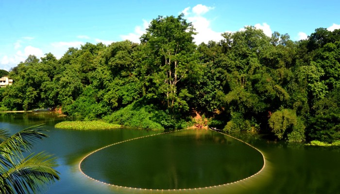 কাপ্তাই হ্রদে মাছ আহরণ শুরু ১১ আগস্ট