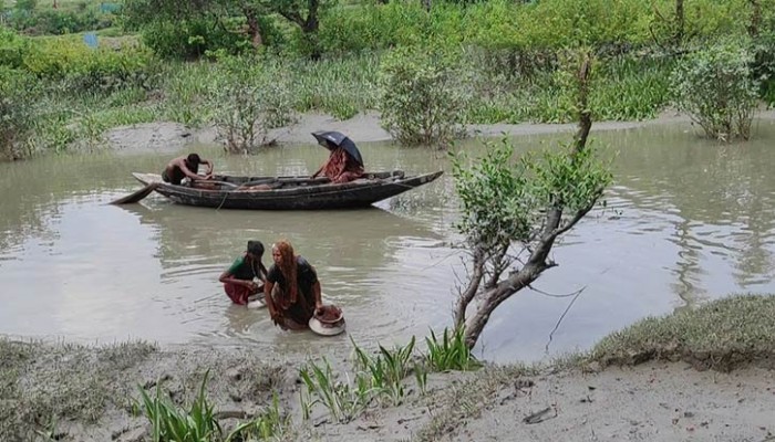 উপকূলে লোনা পানির নীরব শিকার নারী, বাড়ছে স্বাস্থ্যঝুঁকি