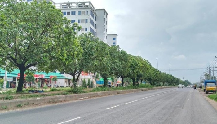 মহাসড়কে সবুজের সৌন্দর্য: হিজলের রঙিন ছোঁয়ায় মুগ্ধ পথচারিরা