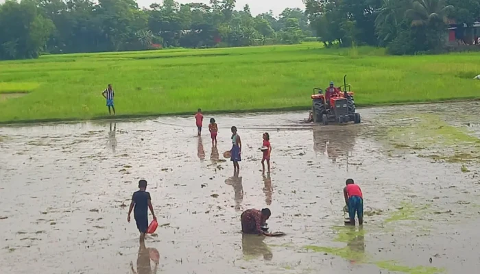 অন্য রকম মাছ ধরার শৈশব!