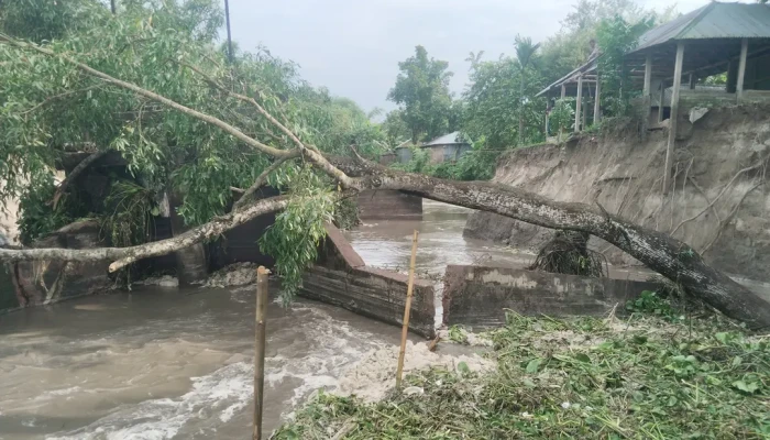 ইঁদুর খেলো স্লুইসগেট: নদীগর্ভে বসতবাড়ি!
