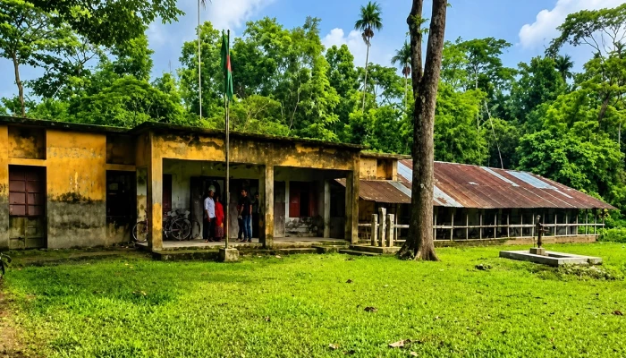 শিক্ষক-কর্মচারী ১৩, পরীক্ষার্থী ১২—পাস করল মাত্র একজন!