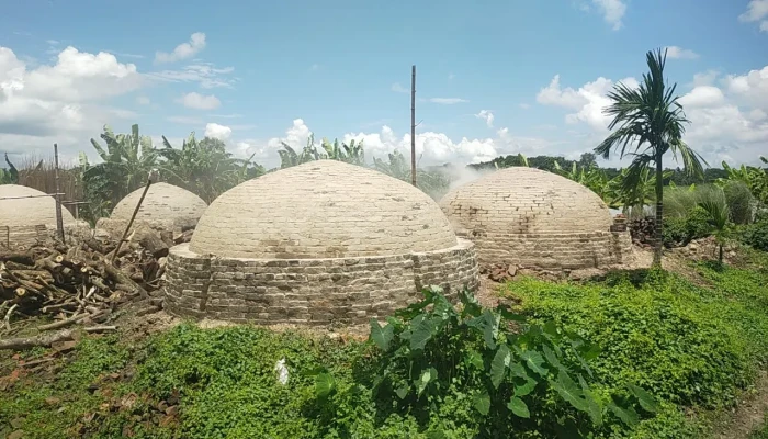 নদীর তীরে ১০টি অবৈধ কয়লার তৈরি চুল্লি