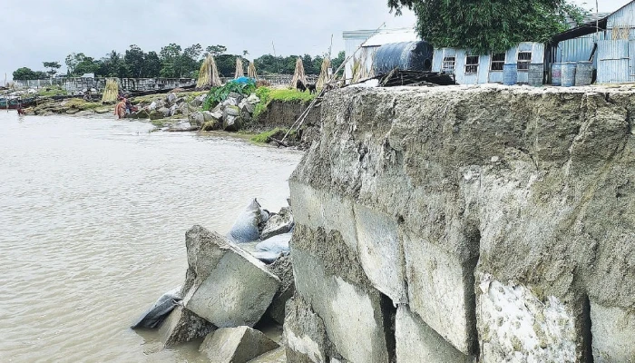 পদ্মার রুদ্ররূপে ঝুঁকিতে জাজিরার ৫০০ পরিবার