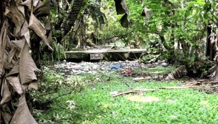 দখল-দূষণে অস্তিত্ব সংকটে নাটোরের ‘জিয়া খাল’