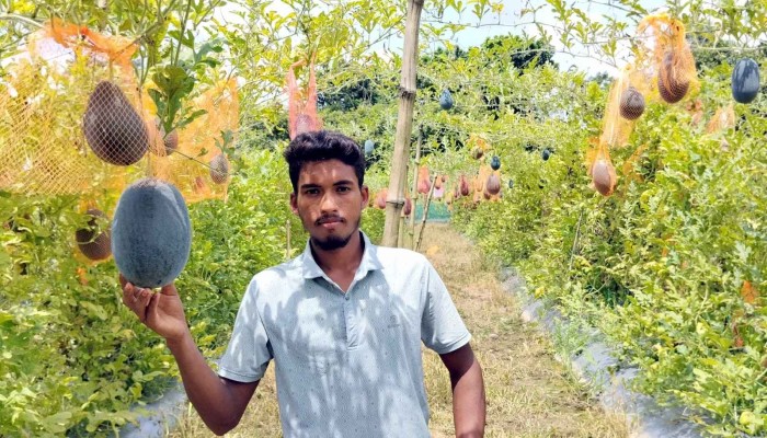তরমুজে নতুন স্বপ্ন মিনহাজের